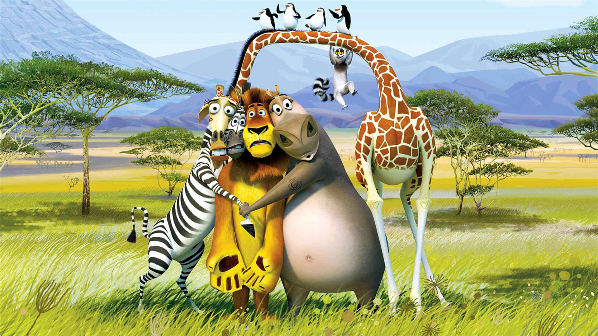 หนังที่ต้องดู Madagascar: Escape 2 Africa รอคอยเรื่องต่อไป