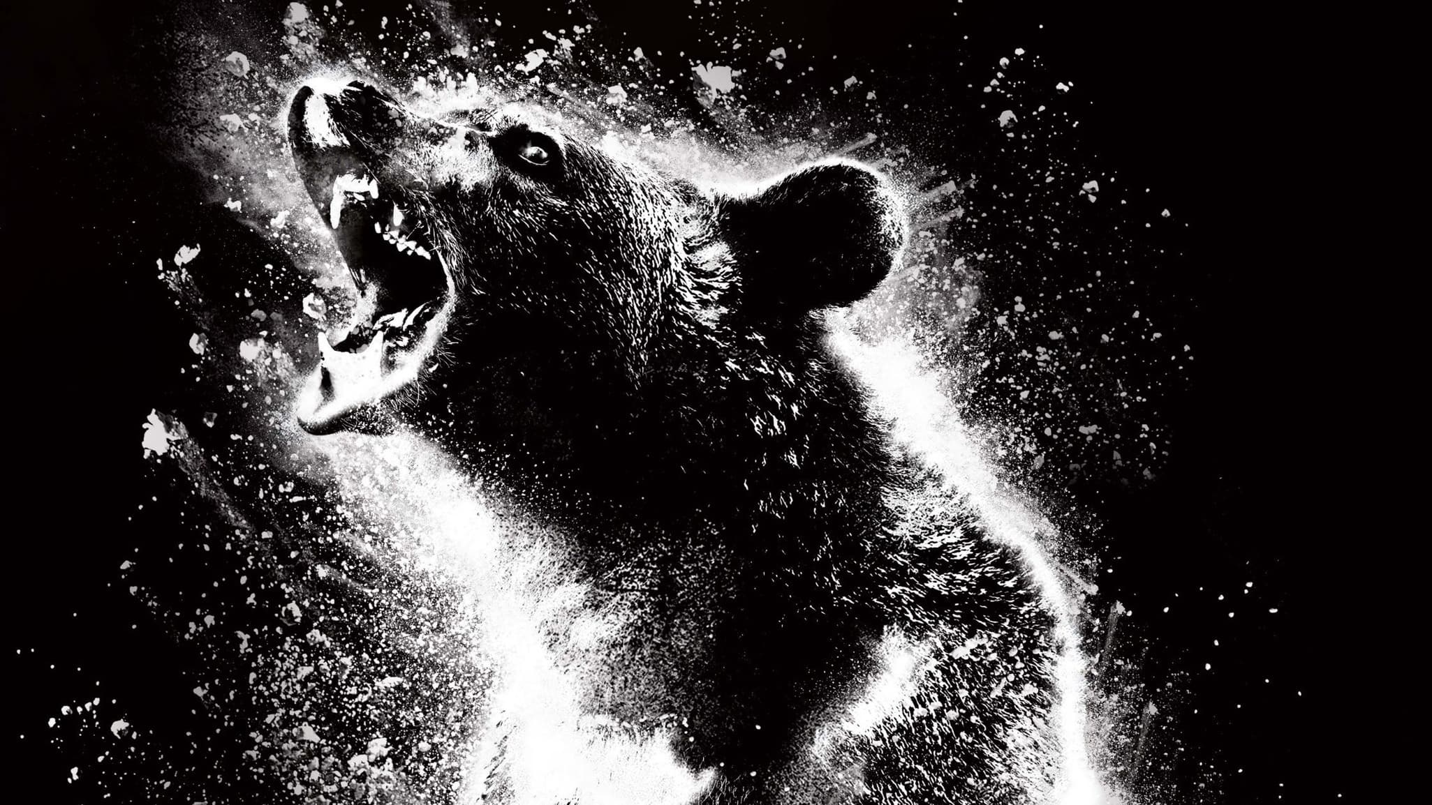 สรุปเนื้อเรื่อง Cocaine Bear อย่าพลาด